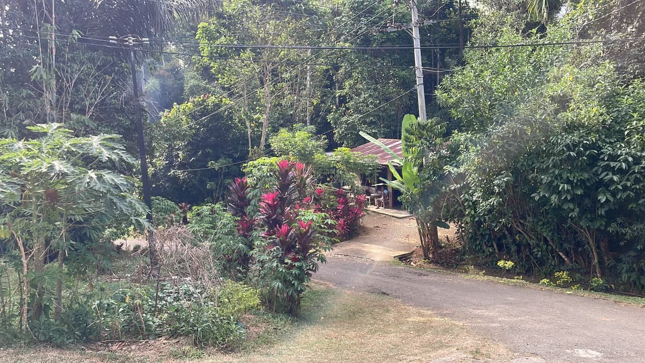 Kebun Sayur